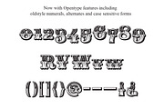 Maison Luxe, a Font by FontMesa (Thumbnail 8 of 8)