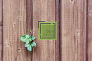 Minimal Square Logo - Hipster Line, a Branding & Logo Template by Sahade Studio (Thumbnail 14 of 17)