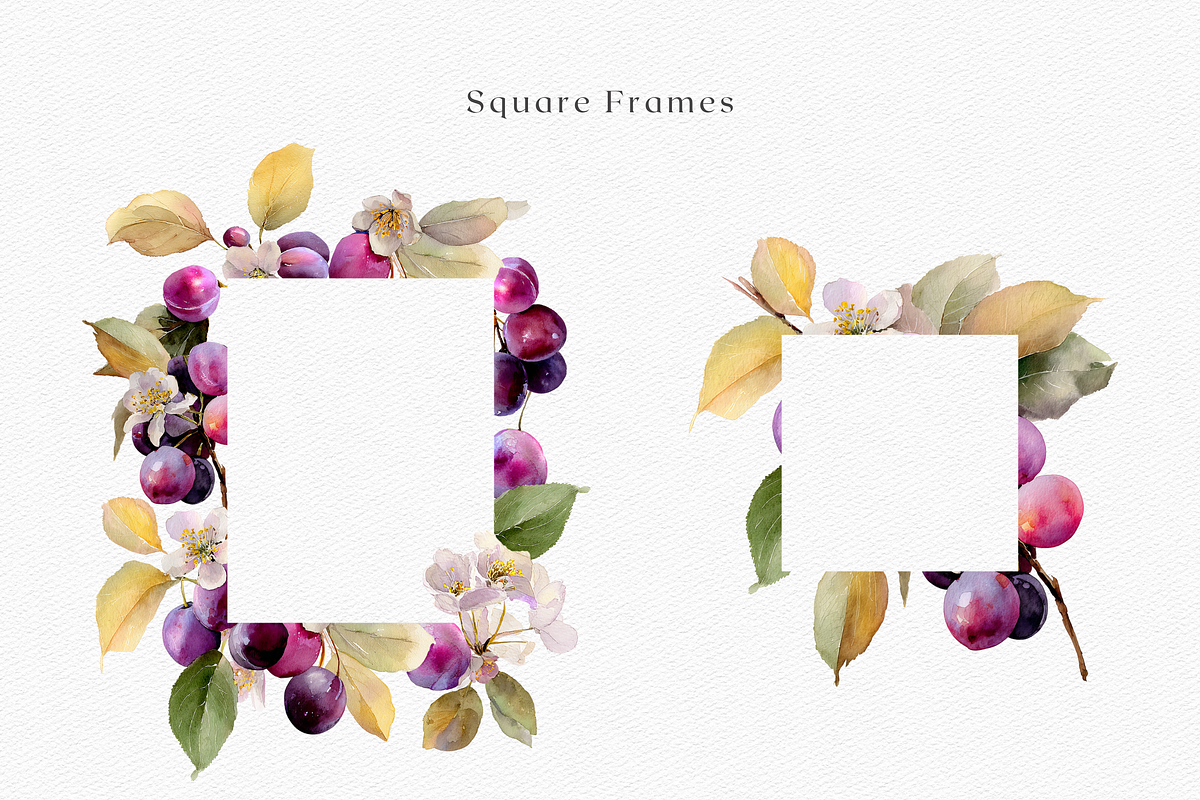 Watercolor Plum Bouquet Clipart, a Decorative Illustration by ThaismotaCreativeCo (Photo 7 of 12)