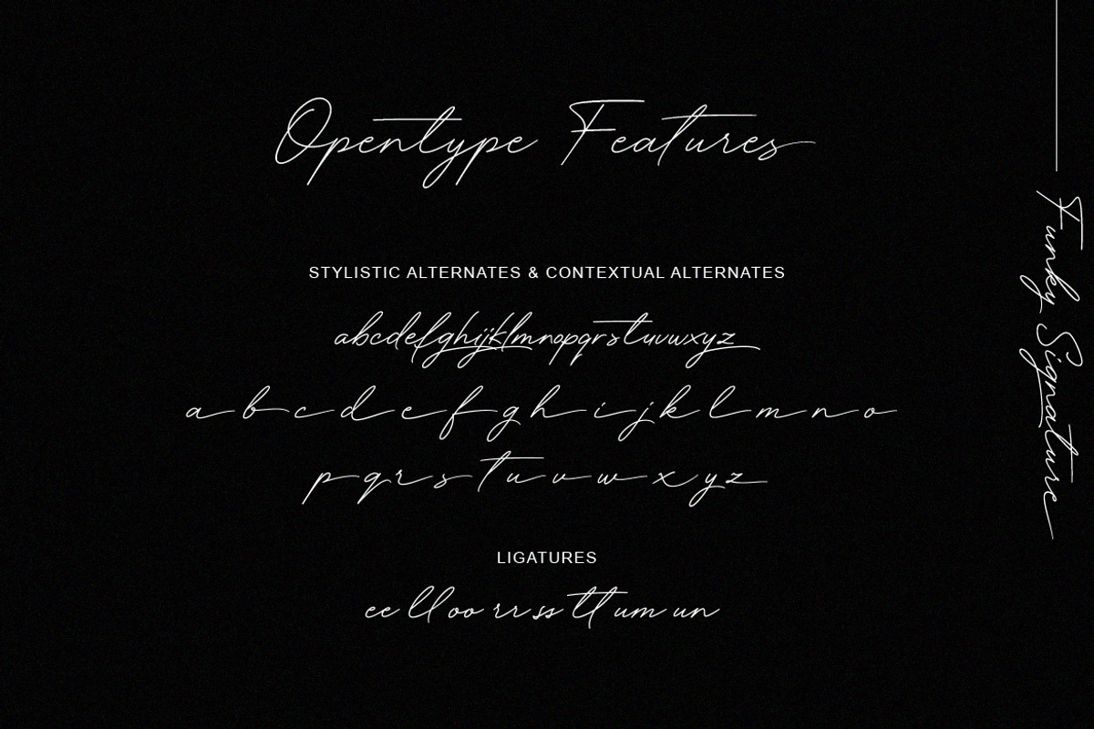 Funky Signature - Funky Fonts preview 8