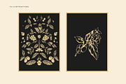 Coffee Handcrafted Illustration, an Illustration by Elysamunster (Thumbnail 7 of 14)