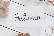 Holiday Farmhouse, a Handwritten Font by InermediaSTUDIO (Thumbnail 3 of 8)