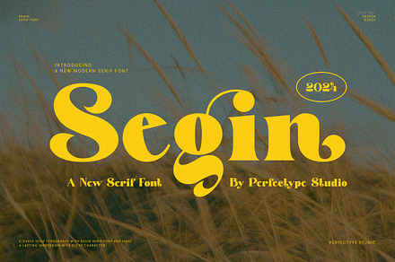 Segin Modern Serif Font, a Serif Font by Perfectype