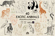 Exotic Animals Line Art + Procreate, an Illustration by Skliarova (Thumbnail 1 of 3)