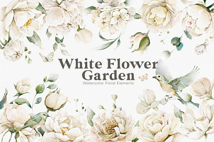 Watercolor White Flowers Collection