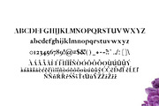 Abed Serif Font Family Pack, a Serif Font by Creativetacos (Thumbnail 2 of 5)