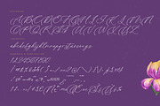 Betany Katepia Beauty Calligraphy, a Script Font by stylishtype.co (Thumbnail 18 of 20)