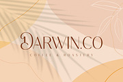 The Quality - Luxurious Sans, a Sans Serif Font by Mokatype Studio (Thumbnail 5 of 10)