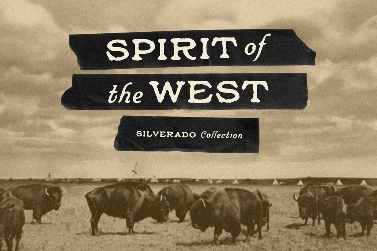 Silverado, a Slab Serif Font by Bruised Goods