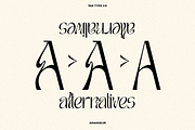 TAN - GRANDEUR, a Sans Serif Font by TanType (Thumbnail 23 of 25)