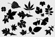 Leaves Vector Pack, an Object Graphic by blacksheepsupply (Thumbnail 1 of 2)