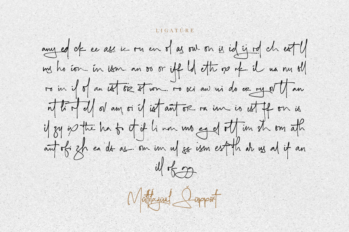 Signaturing - An Inky Handwritten, a Script Font by Nooh Space x Masa Fonts (Photo 18 of 18)