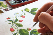 Strawberry wreath. Watercolor, an Illustration by Olga Bonitas (Thumbnail 4 of 6)