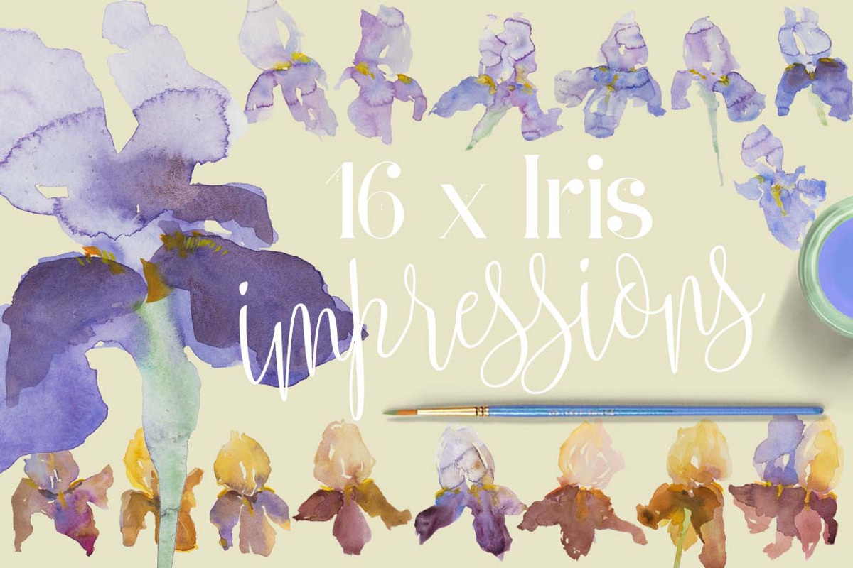 TheArtsyIrisCollection-Clipart, an Illustration by watercolorwild.graphics (Photo 6 of 13)