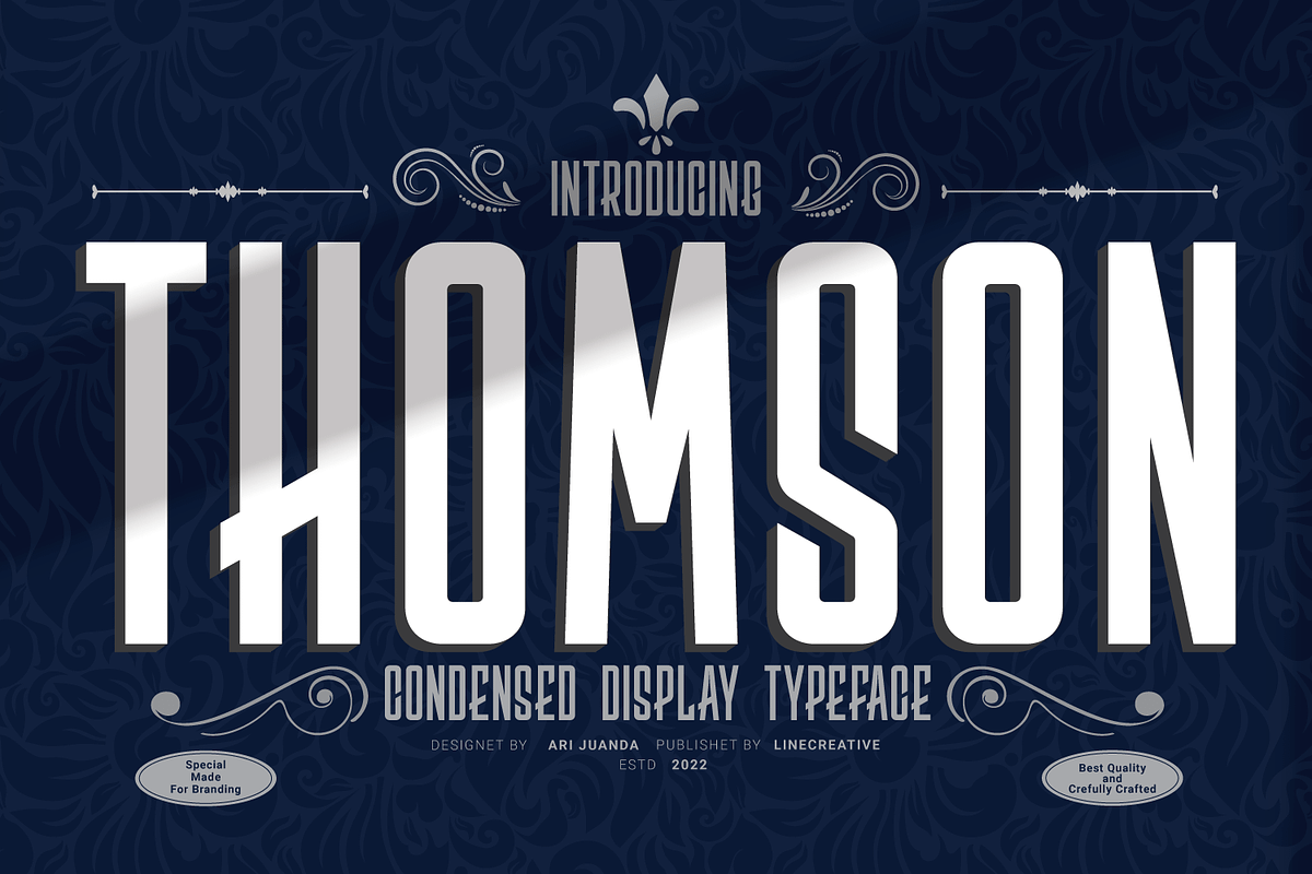 Thomson, a Sans Serif Font by Linecreative (Photo 1 of 10)