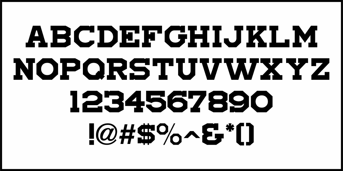 Local Druggist JNL, a Slab Serif Font by Jeff Levine Fonts (Photo 3 of 5)