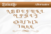Brantile - Modern Serif Display Font, a Serif Font by Rishsketch (Thumbnail 12 of 14)