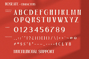 Roseate - Serif Font