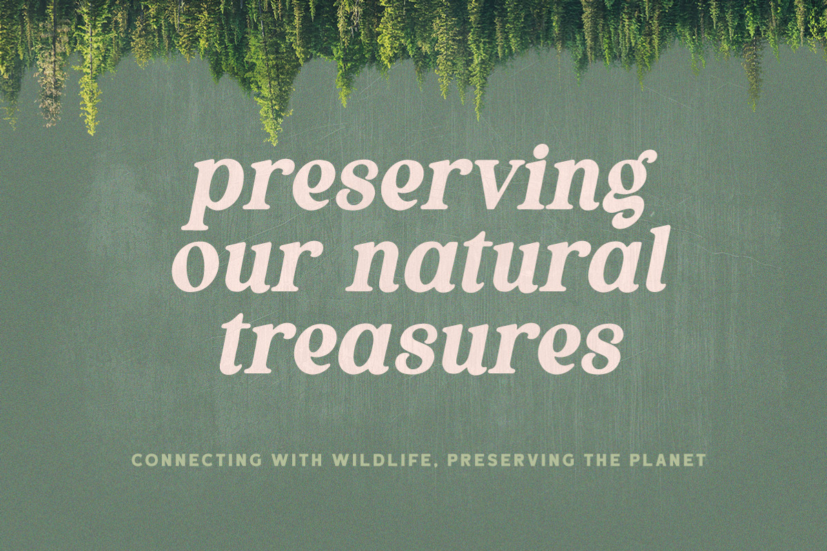Thrive Wood - Organic Serif, a Serif Font by Letterhend Studio (Photo 2 of 9)