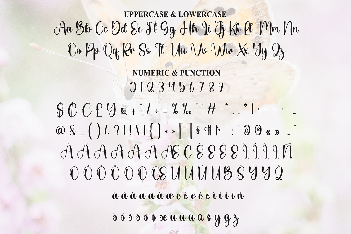 Butterfly | Script Font, a Handwritten Font by Scratchones (Photo 7 of 9)