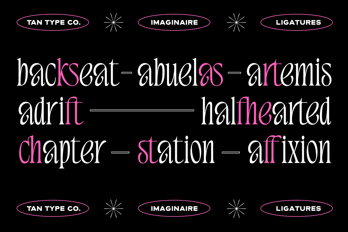 TAN - IMAGINAIRE, a Serif Font by TanType (Photo 12 of 12)