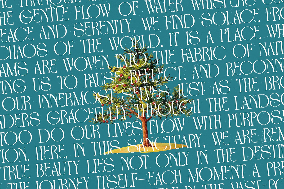 Havens Brooke Editorial Serif, a Serif Font by timelesstype.co (Photo 15 of 20)