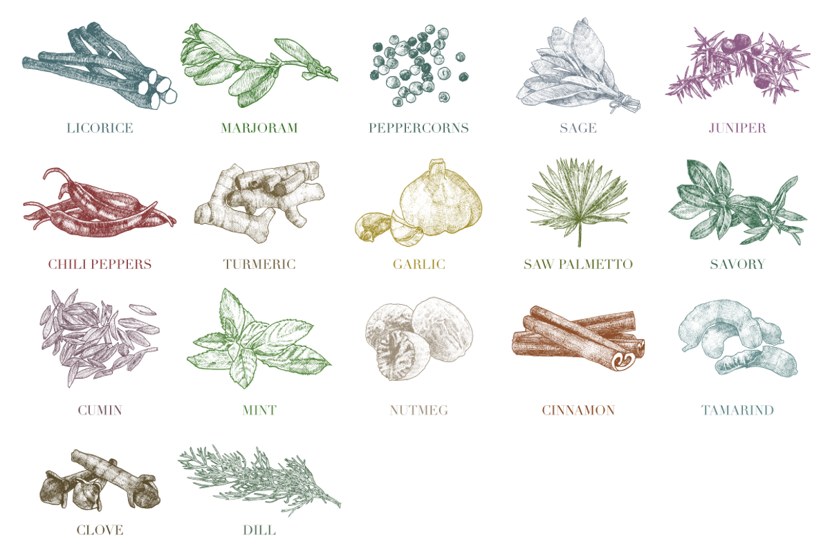 Hand Drawn Herbs & Spices, a Food Illustration by Linseed Studio (Photo 10 of 10)