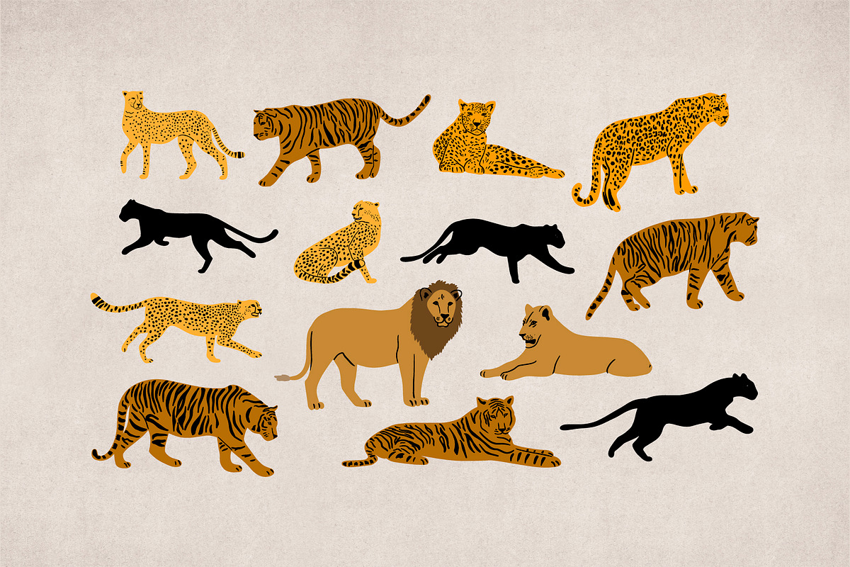 Wild cats. Jungle & tropical set., an Animal Illustration by Alona Savchuk (Photo 3 of 15)