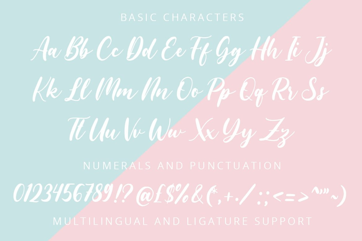 Brush Font Bundle, a Script Font by Flat Icons (Photo 3 of 16)