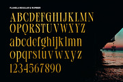 Flanela (Family), a Serif Font by Gatype (Thumbnail 9 of 11)
