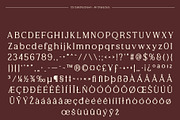 CS Calistha Drawn, a Serif Font by Craft Supply Co. (Thumbnail 8 of 8)