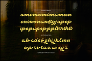 Mainer Wisdom | Retro Bold Script, a Script Font by gracetype_studio (Thumbnail 12 of 12)