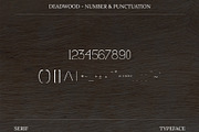 Dead Wood Serif Typeface, a Serif Font by infernostudio3 (Thumbnail 7 of 10)
