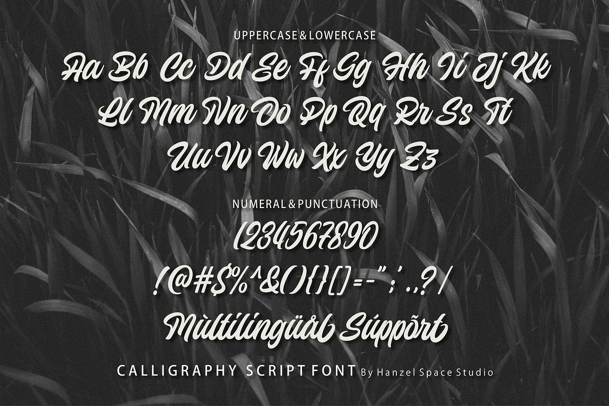 Wilzten – A Stylish Script Font, a Script Font by HanzelSpace Studio (Photo 7 of 7)