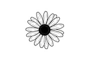Daisy Flower Line Art Vector Bundle0, an Illustration by jahid234 (Thumbnail 51 of 51)