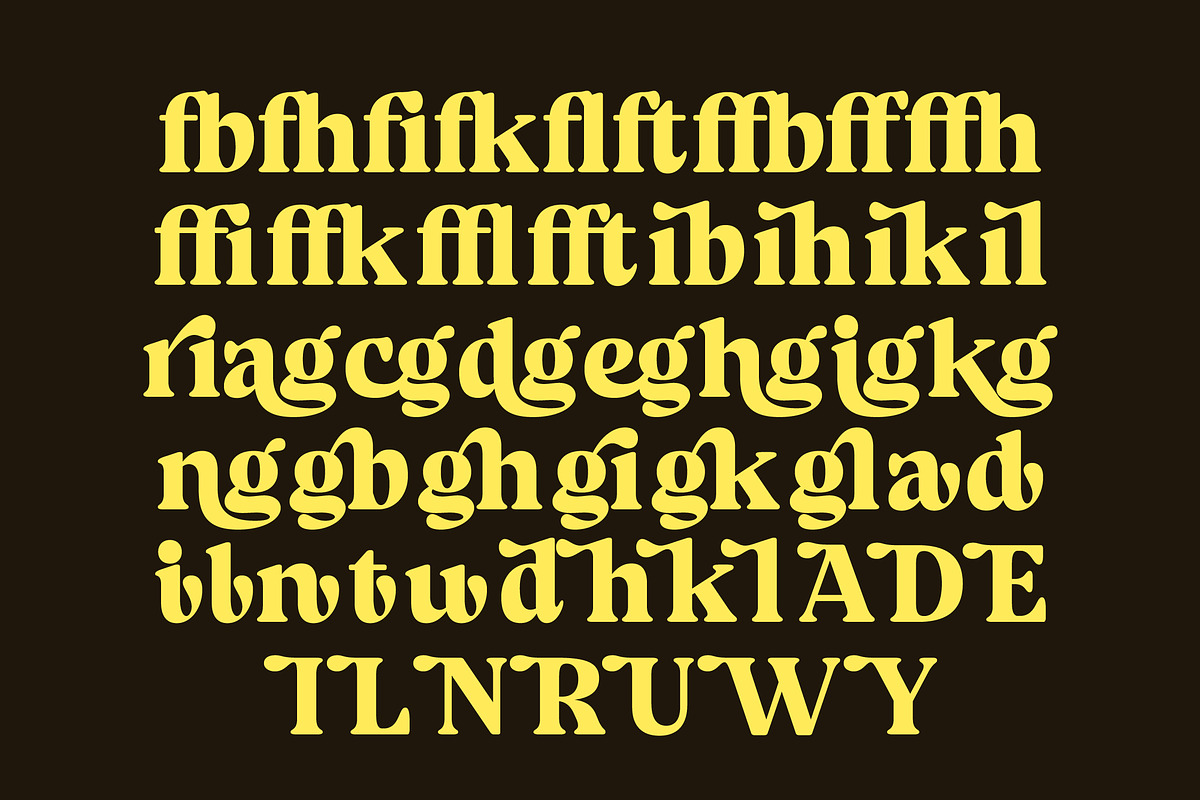 Volkgen Bold Modern Display Serif, a Serif Font by timelesstype.co (Photo 13 of 15)