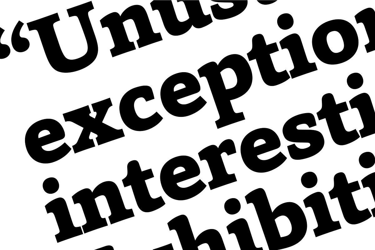 Capita, a Serif Font by Hoftype (Photo 6 of 15)
