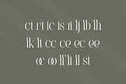 Castica - Modern Serif Font, a Serif Font by Aqeel_Art (Thumbnail 11 of 12)