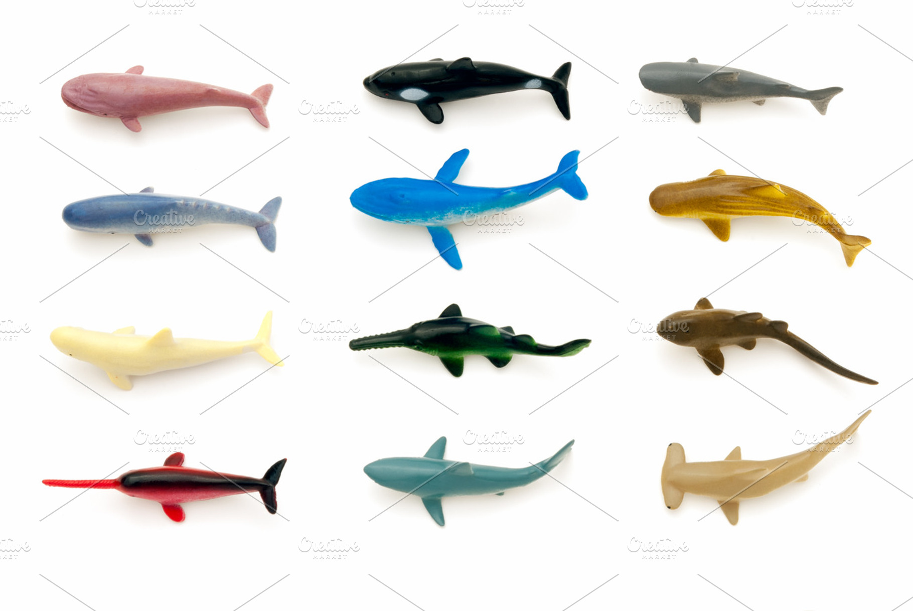 Sea animals shapes 2 containing animals, big, and colors, an Animal Photo by mmeida