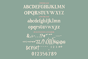 Freed Madison | A Quirky Serif Font, a Serif Font by Colllab Studio (Thumbnail 11 of 12)