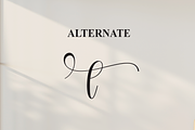 Bestival | Script Font, a Handwritten Font by Scratchones (Thumbnail 8 of 9)