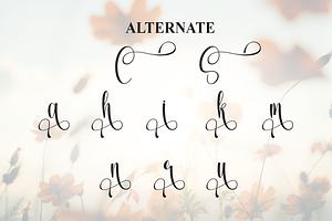 Spring Script Font