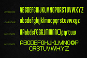 Gotfather -Condensed Sans Serif Font, a Sans Serif Font by Flawless And Co (Thumbnail 9 of 10)