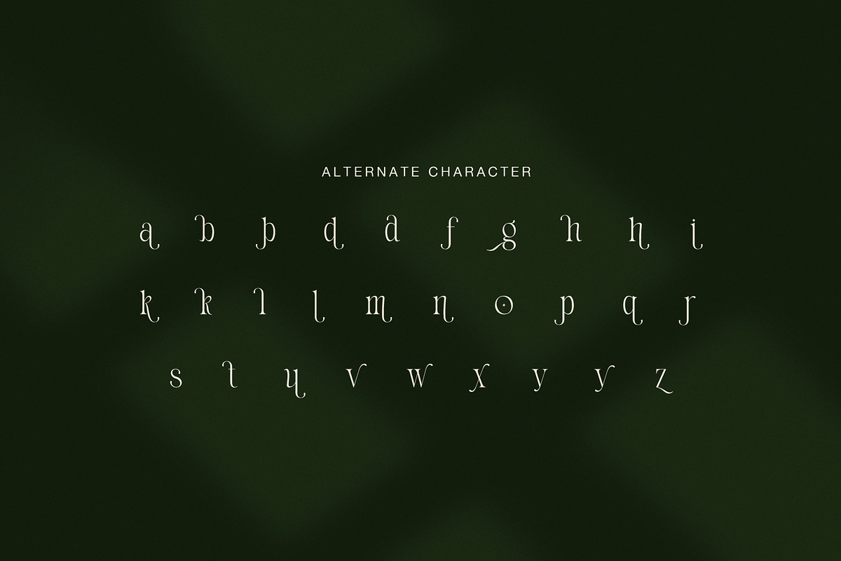 Thomy Elegant Serif Font, a Serif Font by Graphicxell (Photo 7 of 8)