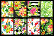 Tropical Flower Set, an Illustration by Mona Monash (Thumbnail 3 of 12)
