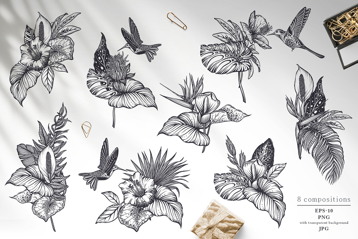 Tropical nature vector set, an Animal Illustration by Molly art (Photo 4 of 15)