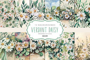 Verdant Daisy