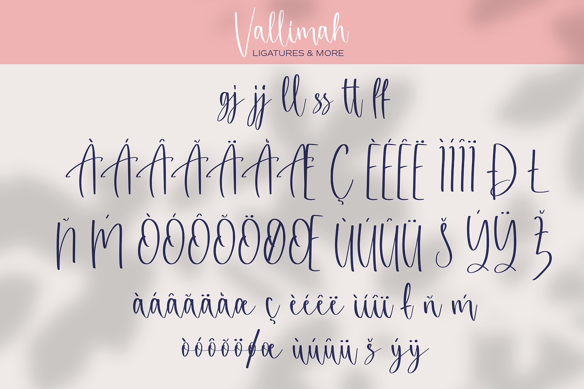 Vallimah - Organic Script Font, a Script Font by Bartama Graphic (Photo 10 of 11)