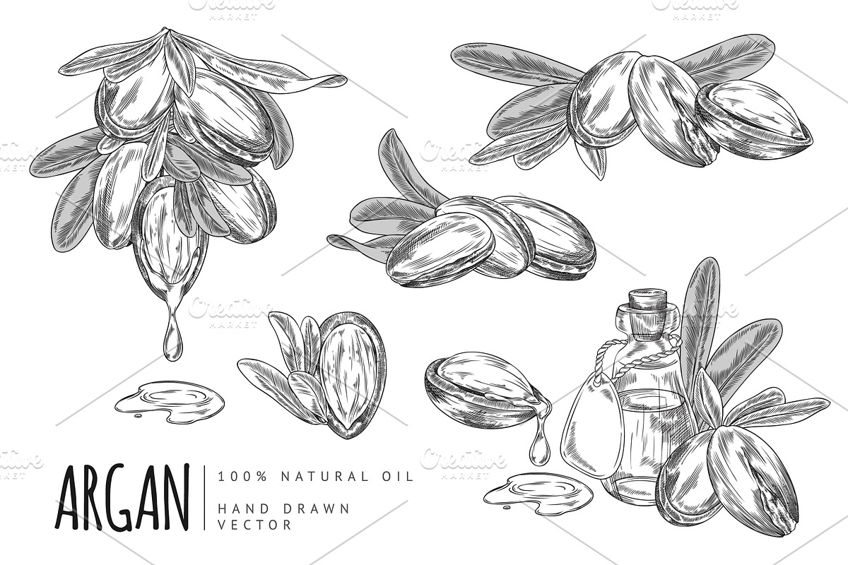 Illustration of set in black and, a Food Illustration by Sabelskaya