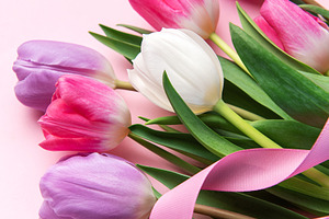 Colorful tulip flowers bouquet with pink ribbon on background, a Holiday Photo by Olena Rudo